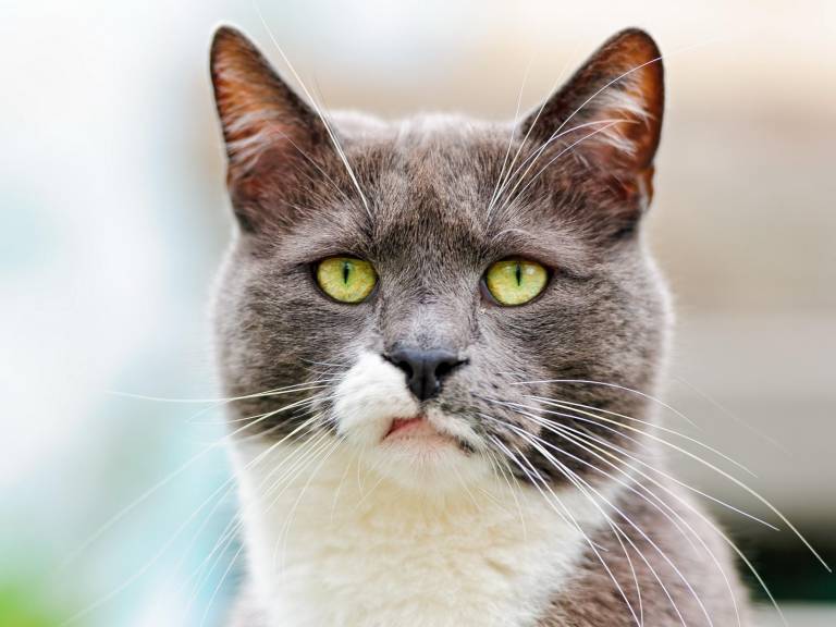 Keeping it real: 35 unmotivational startup quotes