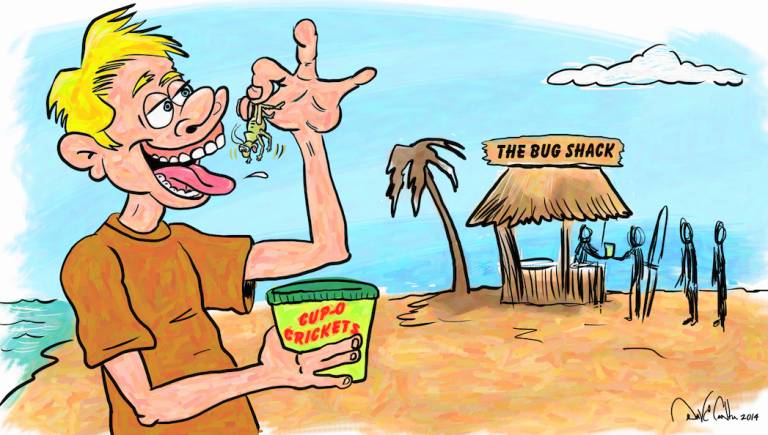 The Insect Revolution: Are crickets the key to a sustainable future?