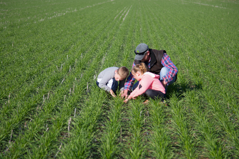 There’s a week left for NSW-based startups to apply for MVP funding worth up to $25,000