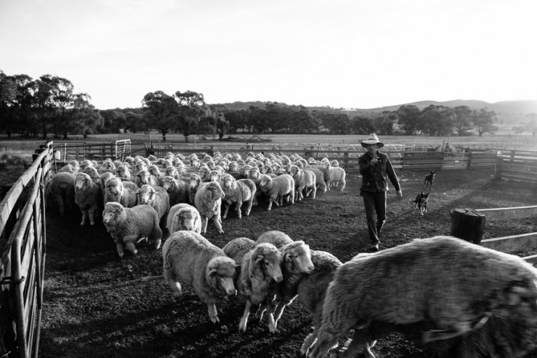 The Gift Collective helps users crowdfund their perfect gift from family and friends