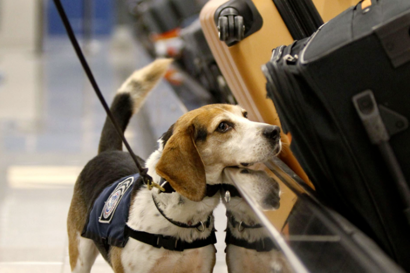border protection