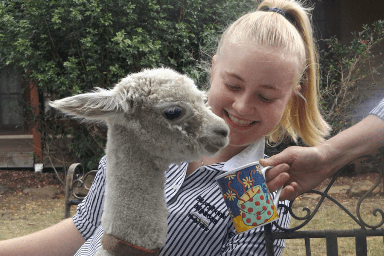 Agritourism platform Visit My Farm connects metropolitan Aussies to authentic on-farm experiences