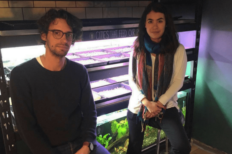 Melbourne startup Farmwall supplies vertical gardens to cafes and restaurants