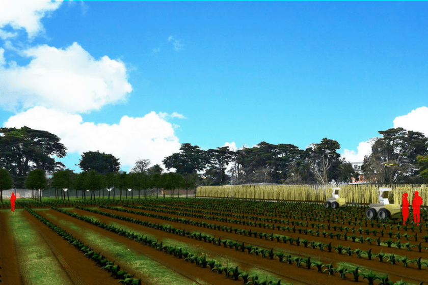 Monash