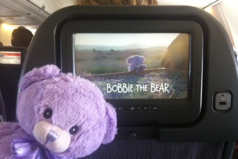 How Bridestowe Lavender Estate’s Bobbie the Bear captured the hearts of Chinese consumers