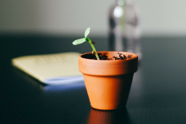 26 years of uninterrupted economic growth – the winners and the losers