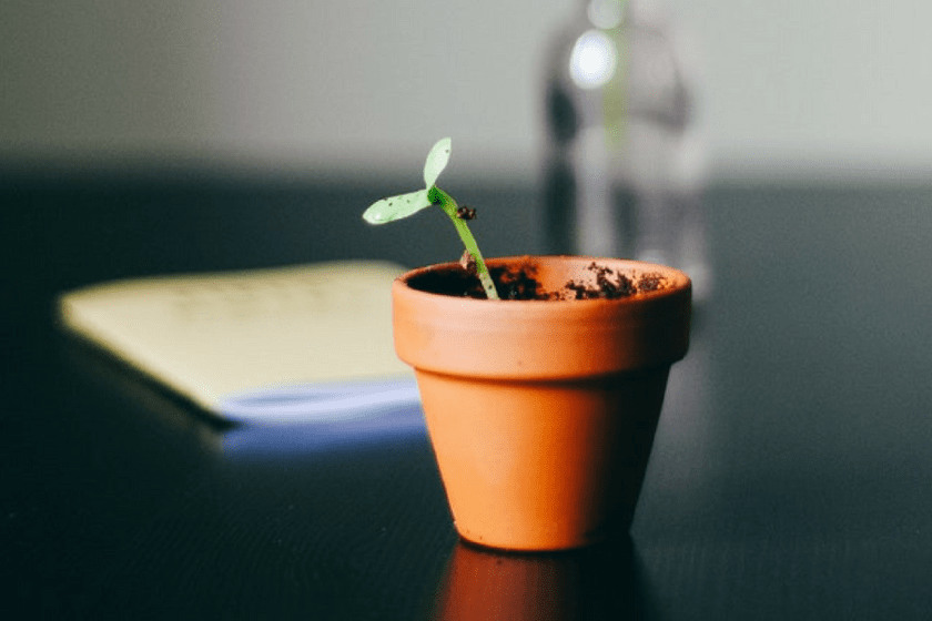 growth marketing