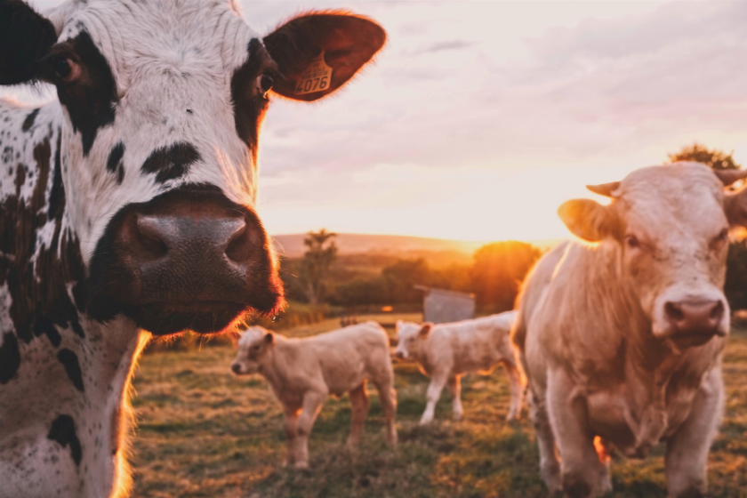 agtech