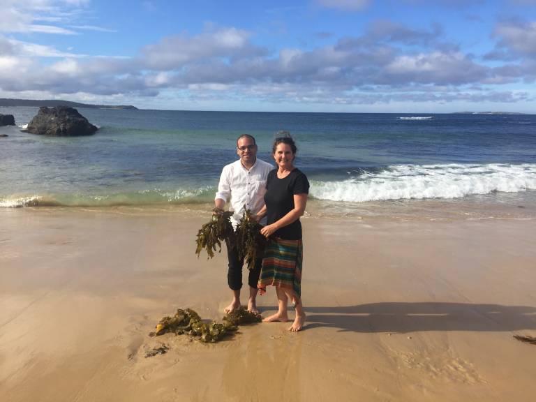 Startups invited to alga biotech accelerator - up to $20,000 seed funds offered