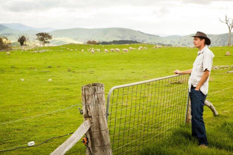 Agtech startup FluroSat raises $4.6 million to help farmers grow better crops