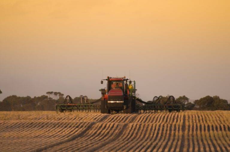 Woolies backs meat-free protein startup in $3.5 million raise