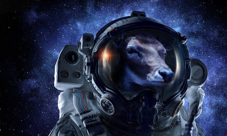 The region’s biggest agrifood tech event is looking for startups to pitch at it