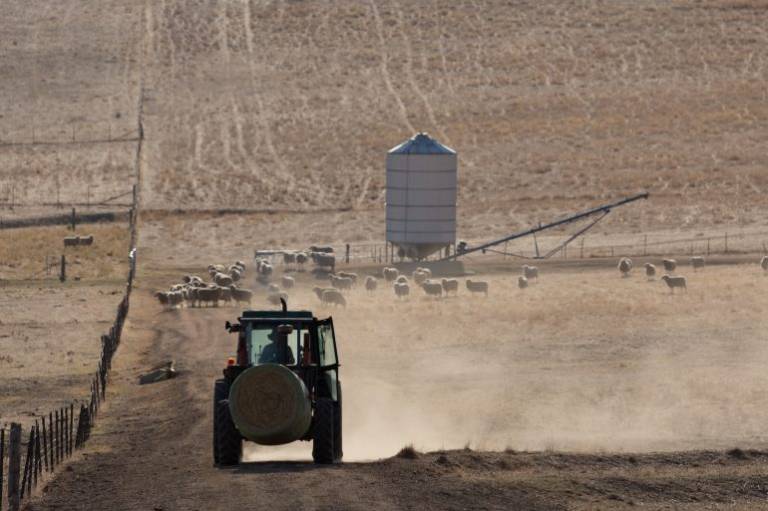 BeanstalkAgTech is building a $10 million venture studio to back nearly 100 startups focused on drought resilience
