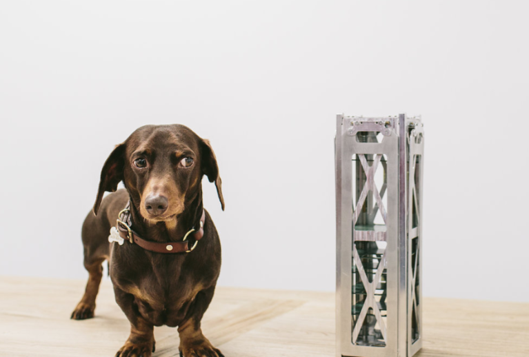 Australian space startup Fleet raises $11 million for its IoT plans