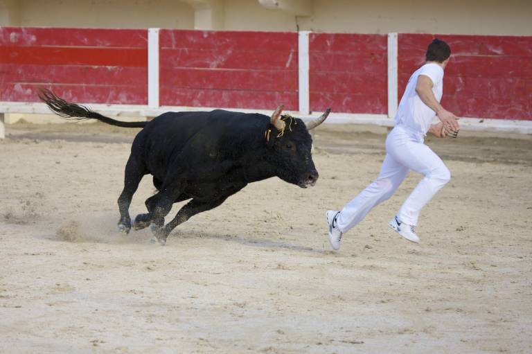 NO EXIT? NO PROBLEM: Why an exit strategy isn't the primary focus for investors