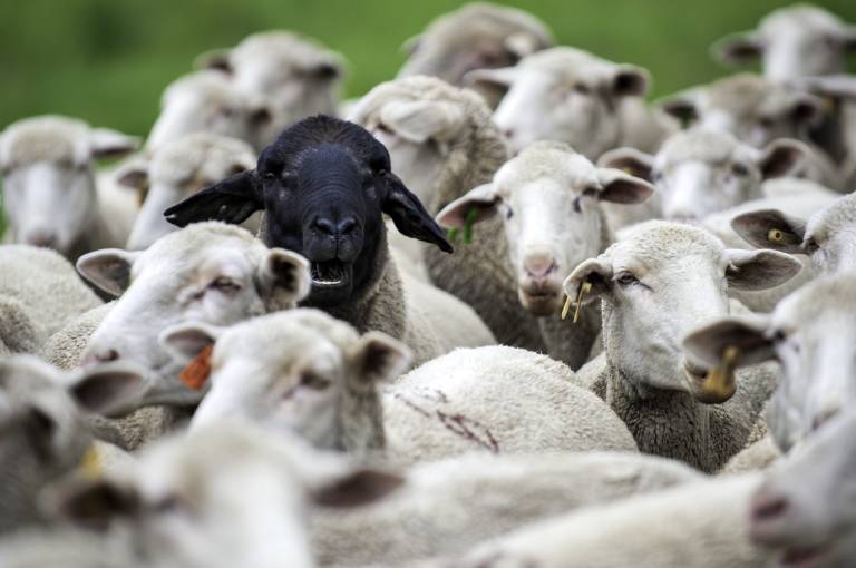 In NSW, you can now be fined $1000 for standing too close to someone