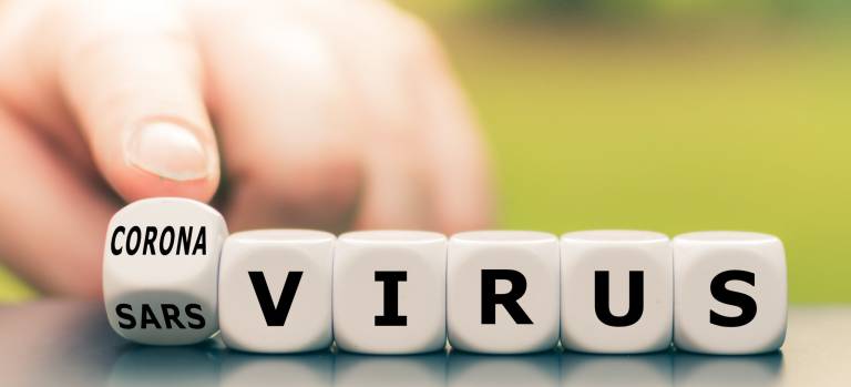 35 of the most commonly asked questions about coronavirus, answered by experts
