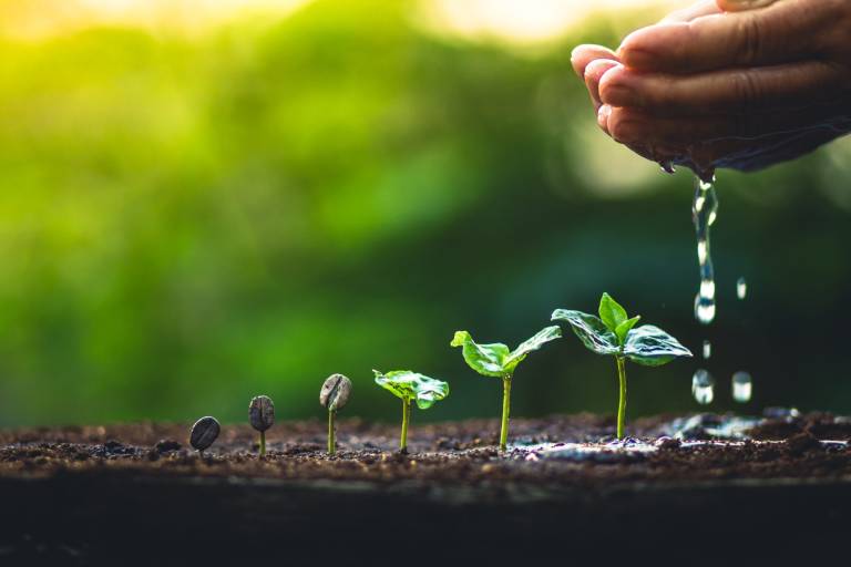 Labor has a plan for young entrepreneurs to create more startups