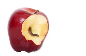 Apple pulled its news AI after it went rogue and started making up stuff