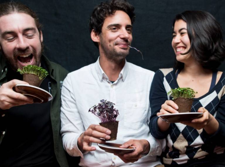 Here are the 8 startups going into the Social Impact Hub’s new scaling accelerator