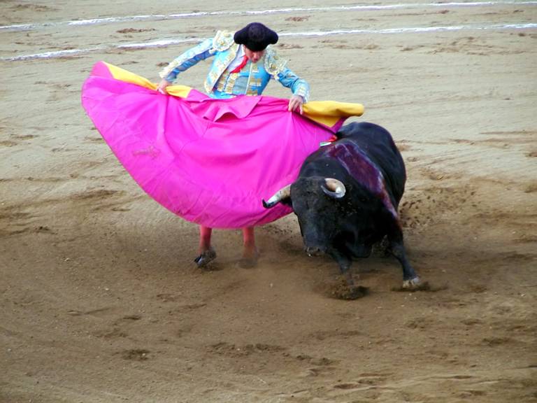 ‘WE ARE THE VERB’: Afterpay’s sales and customers double, but it still posts a loss