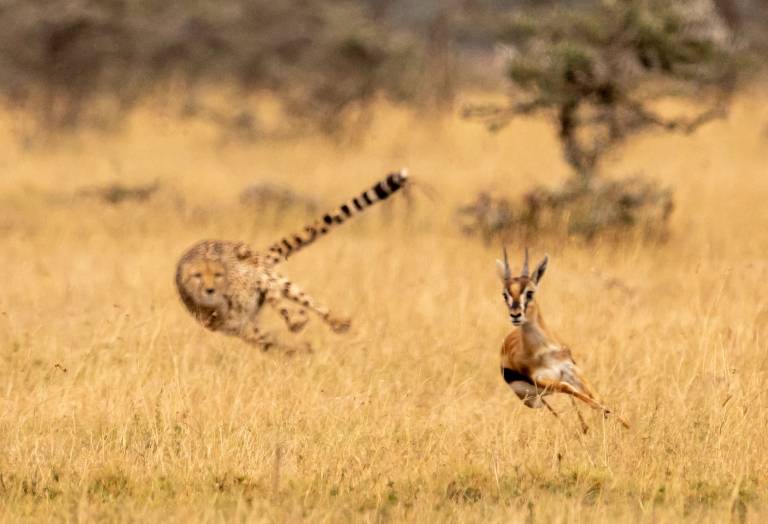 How to build lean and keep customers keen