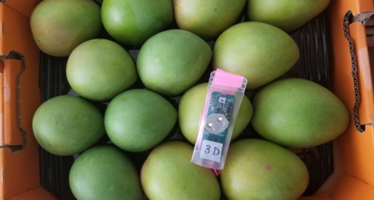 Agtech startup Trust Provenance is using blockchain to track food from paddock to plate