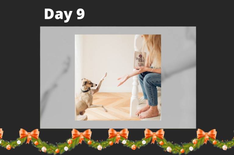 The 12 Days of Startups: Meat your best mate