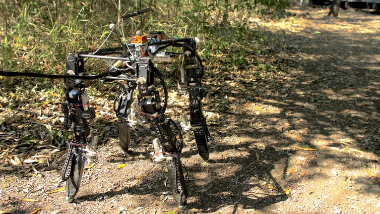 T-999: this shape-shifting robot is starting to match humans when it comes to running across different landscapes