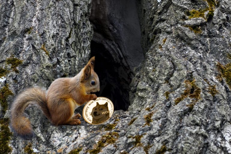 dogecoin, cryptocurrency