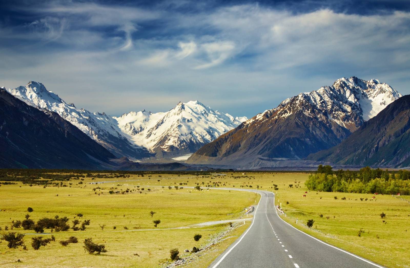 New Zealand