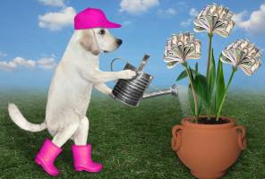 Australia's '20/12 rule' is stifling angel investment and any chance of younger generations backing startups