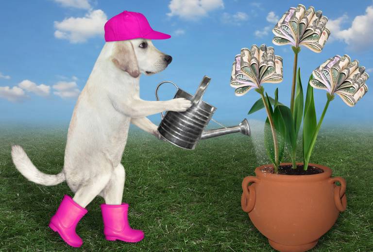 5 things Main Sequence's Phil Morle learnt about venture capital from hanging out with 100 other investors