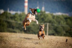 How to win the battle for IT talent for your startup