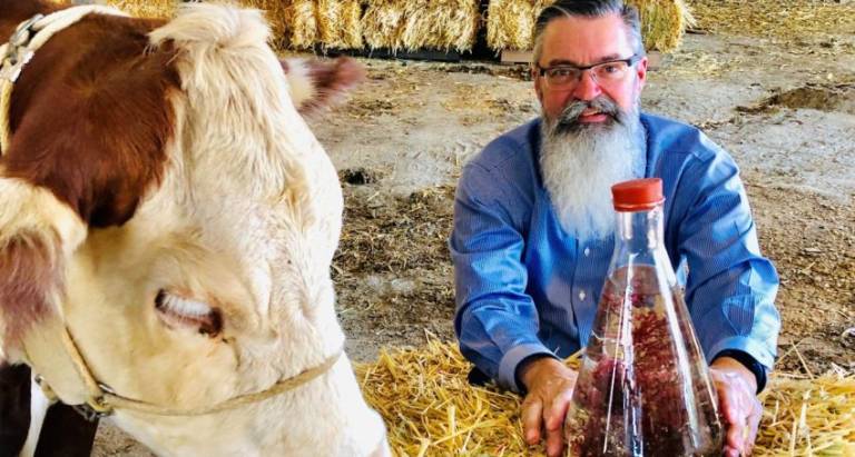 South Australia’s seaweed industry is booming in a bid to cut carbon emissions