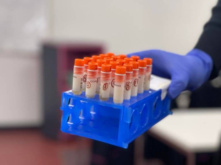 Victorian high schoolers are trying to grow yoghurt in space