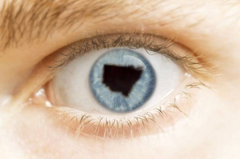 NSW has set out a 20-year roadmap to ramp up critical R&D