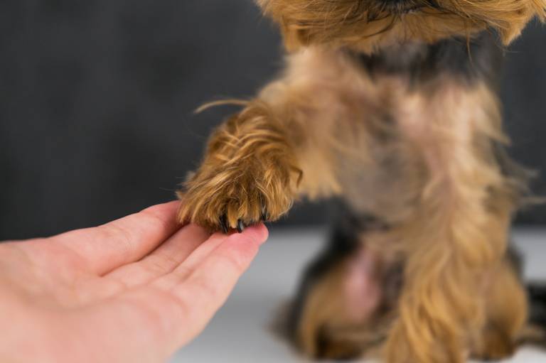 Maybe your startup’s offboarding process is more important than its onboarding one