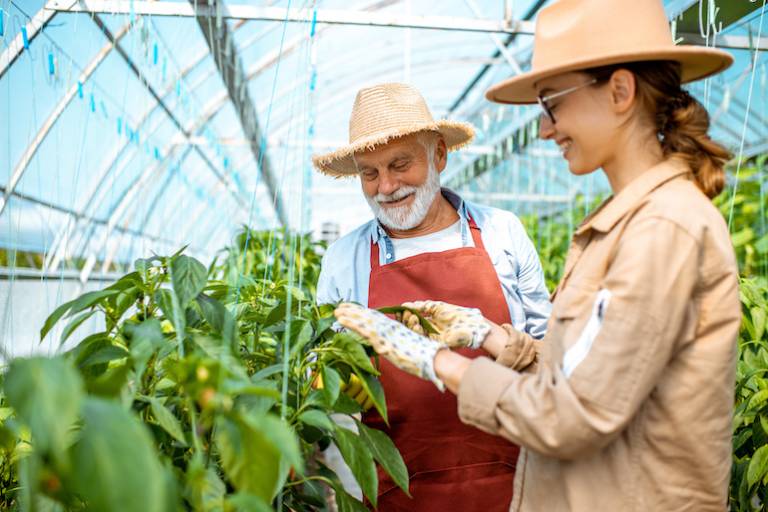 Queensland has a new program for agtech startups tackling plant health
