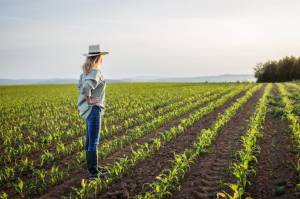 The changing face of Australian farming: 7 agtech startups to watch
