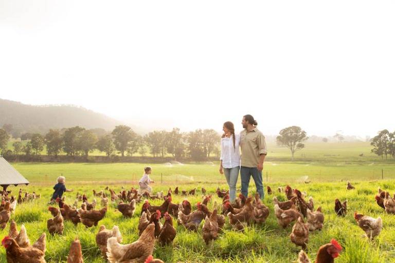 Invest Inya Farmer, a fintech that lets people put their money where their mouths are, plants $1.1 million Seed round