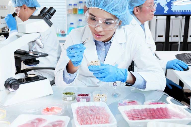 Italy is going to ban lab-grown&nbsp;meat – here’s why that’s a bad move for sustainability