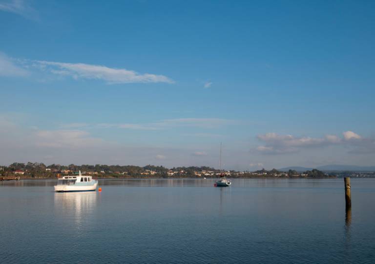 The Cannon-Brookes-backed SunCable project wants to build a $1 billion manufacturing plant in Tasmania for its 4200km underwater power line