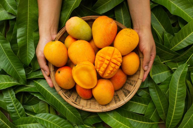 Science will tell you how long your mango has to live – and now it’s a startup idea to commercialise