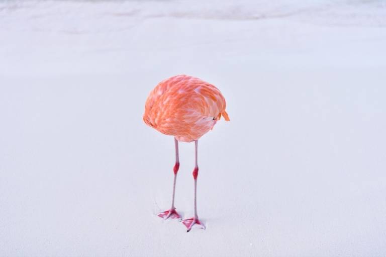 A photographer trolled an AI art competition with a real photo - and won