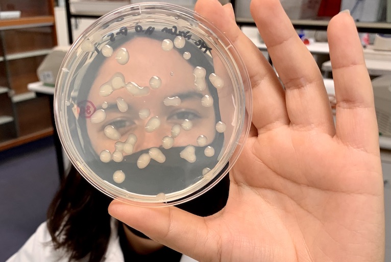 CSIRO teams up with Murdoch Uni for $8 million Bioplastics Innovation Hub developing compostable plastics&nbsp;