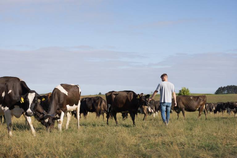 Kiwi cattle collar scaleup turns unicorn with $155 million Series D