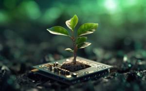 Applications for WA's Nature Tech Accelerator for biodiversity startups are open