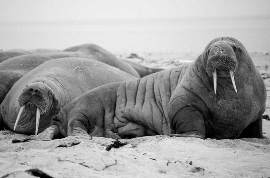 Test post for changing permalink for Coral